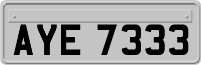 AYE7333