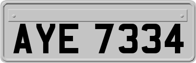 AYE7334