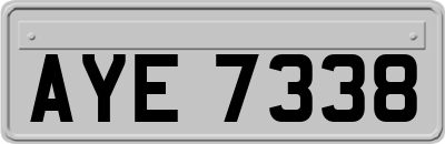AYE7338