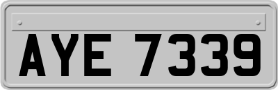AYE7339