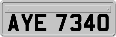 AYE7340