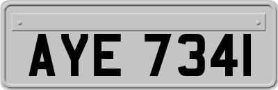 AYE7341