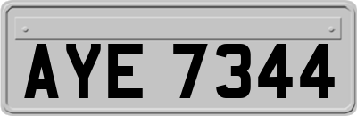 AYE7344