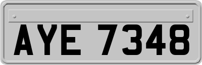 AYE7348