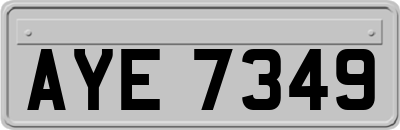 AYE7349