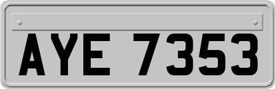AYE7353
