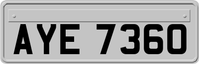 AYE7360