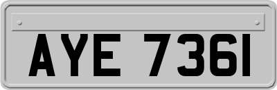 AYE7361