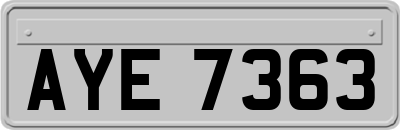 AYE7363