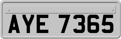 AYE7365