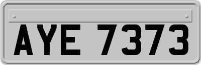 AYE7373