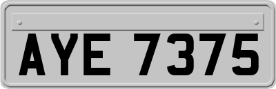 AYE7375