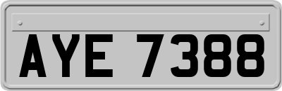 AYE7388