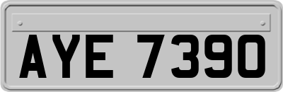 AYE7390