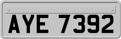 AYE7392