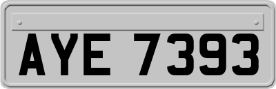AYE7393
