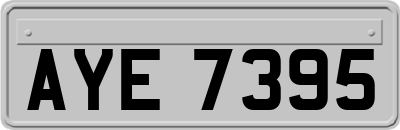 AYE7395