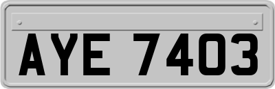 AYE7403