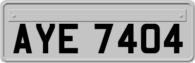 AYE7404
