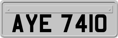 AYE7410
