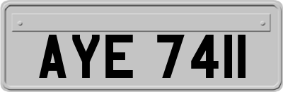 AYE7411