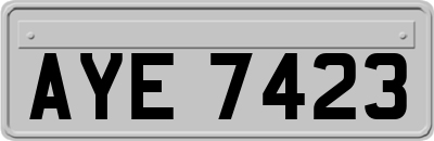 AYE7423