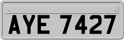 AYE7427