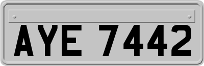 AYE7442