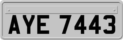 AYE7443