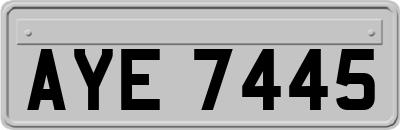 AYE7445