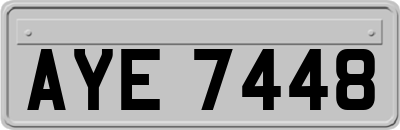 AYE7448