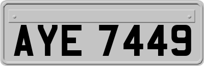 AYE7449