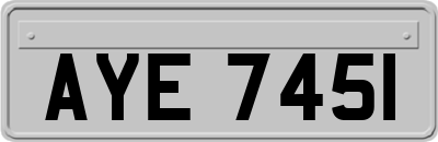 AYE7451