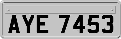AYE7453