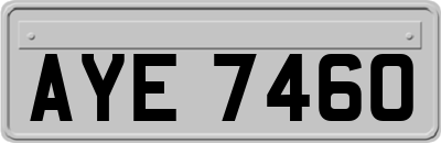 AYE7460
