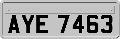 AYE7463
