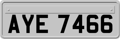 AYE7466