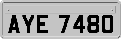 AYE7480