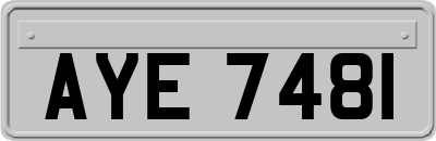 AYE7481