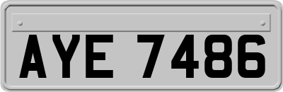 AYE7486