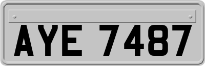 AYE7487