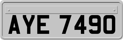 AYE7490