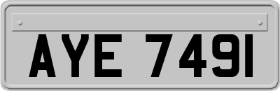 AYE7491