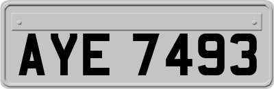 AYE7493