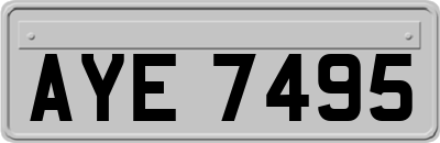 AYE7495