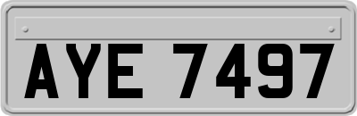 AYE7497