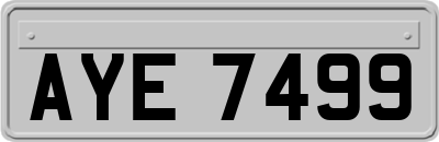 AYE7499