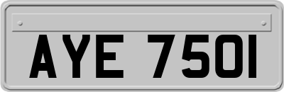 AYE7501
