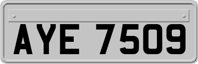 AYE7509