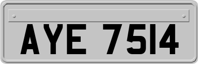 AYE7514